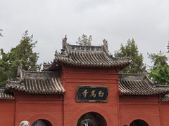 -洛阳白马寺