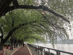 -沙澧河风景区