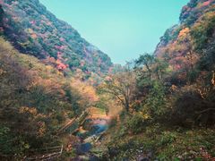 -西安祥峪森林公园