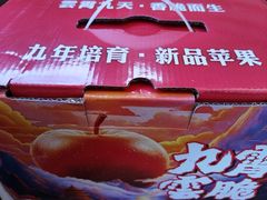 -沈阳市八家子水果批发市场