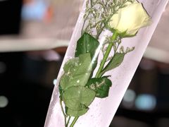 -江南红鱼汤(洋中花园店)