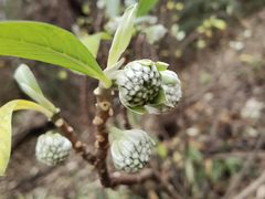 -南山风景名胜区