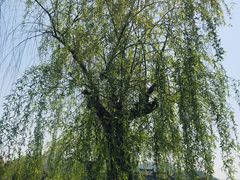 -东钱湖旅游度假区