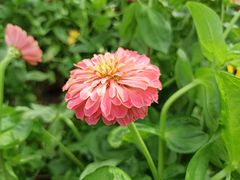 -大宁郁金香公园-停车场