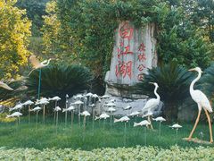 -广州白江湖森林公园