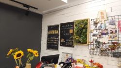 -文E范儿ZUMBA尊巴舞蹈