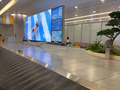 -上海浦东国际机场-T2航站楼