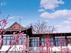 -天津水上公园