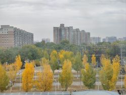 -北京怡德医院妇产中心