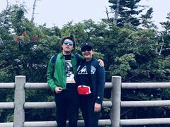 -富士山吉田線五合目