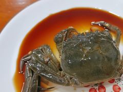 -红灯笼龙凤饭店(宁波老字号店)