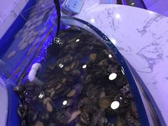 -澜悦港海鲜体验主题餐厅