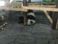 -无锡动物园·太湖欢乐园