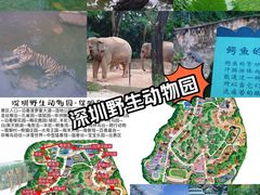 -深圳野生动物园