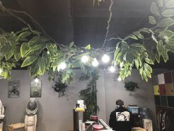 点击看大图 -Ly形象设计