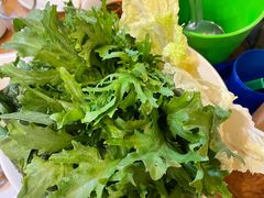 蔬菜拼盘-草原饭店火锅