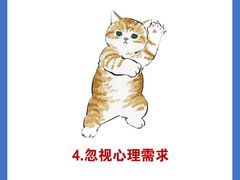 -东方名猫馆·英短金渐层布偶猫舍(环线广场1号楼店)