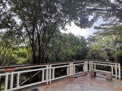 -广州国际生物岛山地公园揽胜园