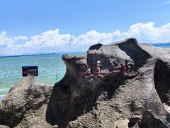 -滇池海埂公园
