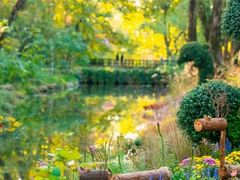 -共青国家森林公园-售票处