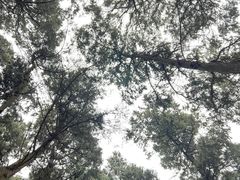 -金堂县云顶石城风景区