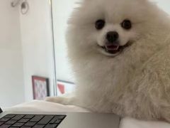 -乖乖宠物医院·猫科·骨科·24小时(云岗分院)