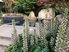 -七彩云南古滇温泉山庄