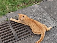 -晓港公园