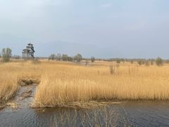 -野鸭湖国家湿地公园