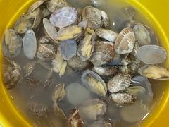 -老青岛海味当家菜馆(银鱼巷店)