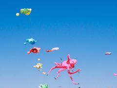 -潍坊滨海云门国际风筝放飞场