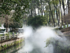 -桂湖森林公园