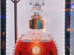 -亚特兰蒂斯•OSSIANO奥西亚诺海底餐厅