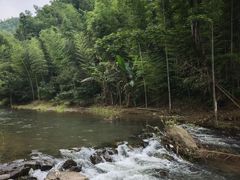 -长沙黑麋峰国家森林公园
