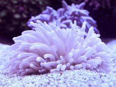 -长沙海底世界