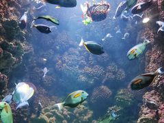 -海合安青岛极地海洋公园
