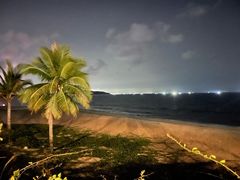 -三亚海棠湾万丽度假酒店