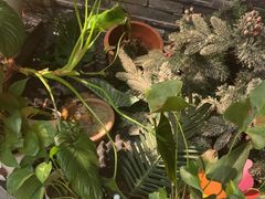 -泰古龙抓龙筋·spa按摩(静安店)