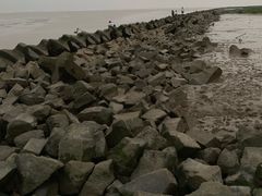 -南汇嘴观海公园