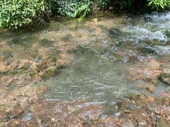 -黄公望隐居地
