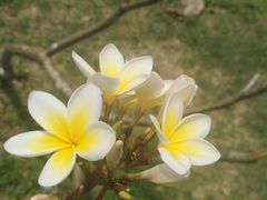 -白沙门生态公园