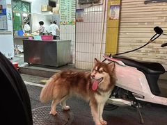 -笨猪青年旅舍(西乡地铁站店)