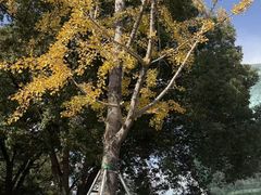 -昆山城市公园