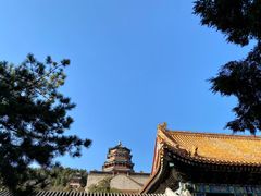 -颐和园
