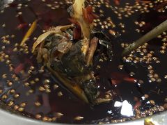 -大味美蛙鱼头(遂宁总店)