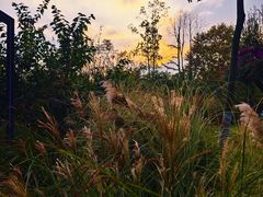 -三圣花乡旅游区