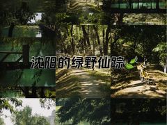 -长白岛森林公园