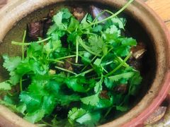 -海口滨海新村143号海南老字号炒菜店