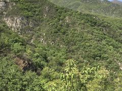 -北京鹫峰国家森林公园