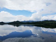-水库河鲜村